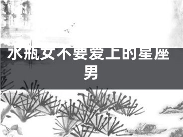 水瓶女不要爱上的星座男