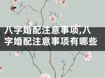 八字婚配注意事项,八字婚配注意事项有哪些