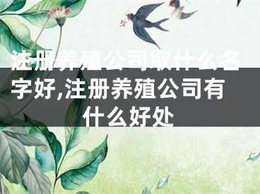 注册养殖公司取什么名字好,注册养殖公司有什么好处