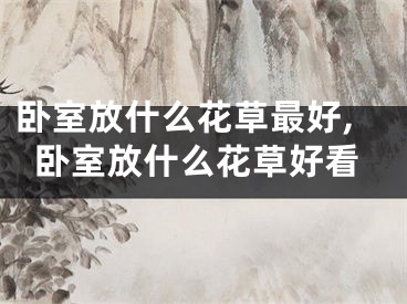 卧室放什么花草最好,卧室放什么花草好看