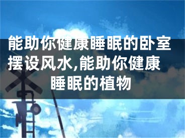 能助你健康睡眠的卧室摆设风水,能助你健康睡眠的植物