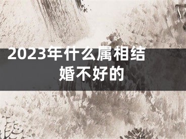 2023年什么属相结婚不好的