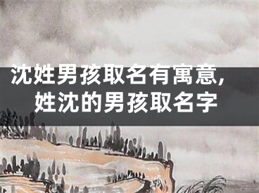 沈姓男孩取名有寓意,姓沈的男孩取名字