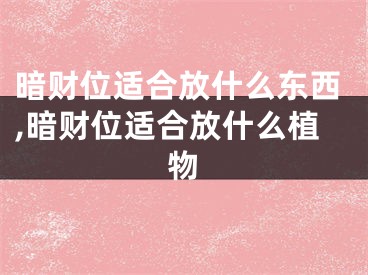 暗财位适合放什么东西,暗财位适合放什么植物