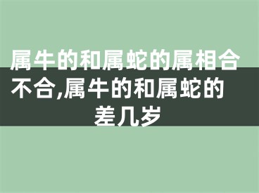 属牛的和属蛇的属相合不合,属牛的和属蛇的差几岁