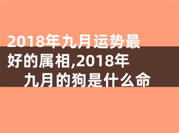 2018年九月运势最好的属相,2018年九月的狗是什么命