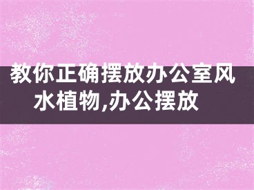 教你正确摆放办公室风水植物,办公摆放