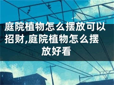 庭院植物怎么摆放可以招财,庭院植物怎么摆放好看