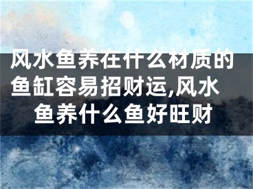 风水鱼养在什么材质的鱼缸容易招财运,风水鱼养什么鱼好旺财