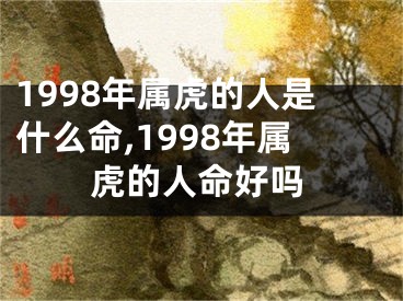 1998年属虎的人是什么命,1998年属虎的人命好吗