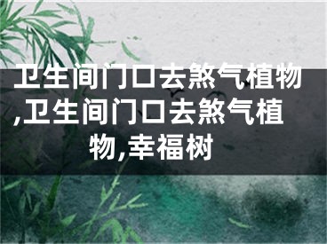 卫生间门口去煞气植物,卫生间门口去煞气植物,幸福树