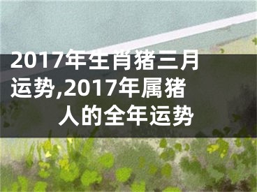 2017年生肖猪三月运势,2017年属猪人的全年运势