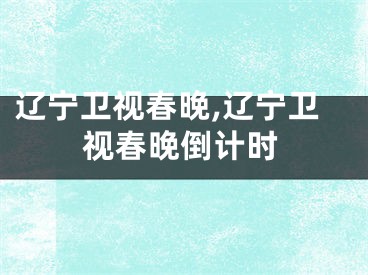 辽宁卫视春晚,辽宁卫视春晚倒计时