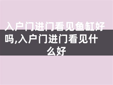 入户门进门看见鱼缸好吗,入户门进门看见什么好