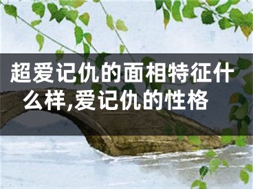 超爱记仇的面相特征什么样,爱记仇的性格