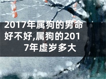 2017年属狗的男命好不好,属狗的2017年虚岁多大