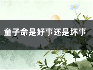 童子命是好事还是坏事