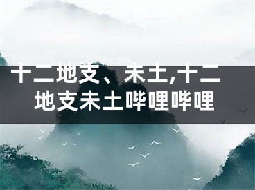 十二地支、未土,十二地支未土哔哩哔哩