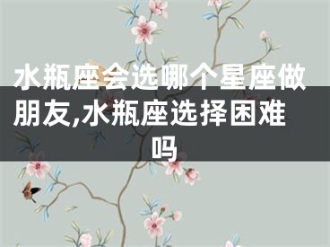 水瓶座会选哪个星座做朋友,水瓶座选择困难吗