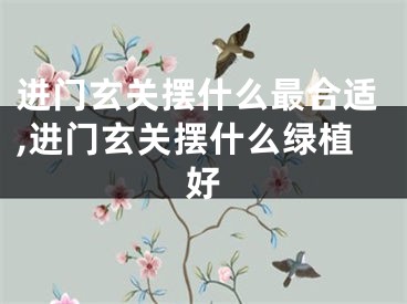 进门玄关摆什么最合适,进门玄关摆什么绿植好