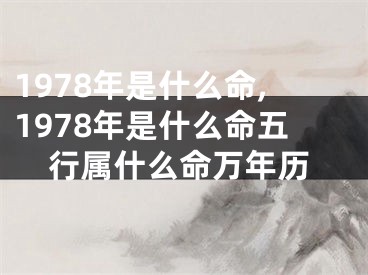1978年是什么命,1978年是什么命五行属什么命万年历
