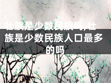 壮族是少数民族吗,壮族是少数民族人口最多的吗