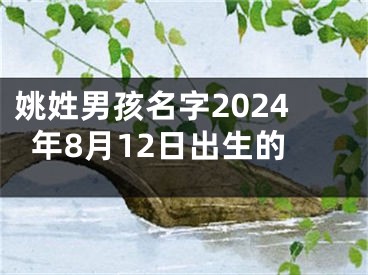 姚姓男孩名字2024年8月12日出生的