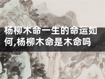 杨柳木命一生的命运如何,杨柳木命是木命吗