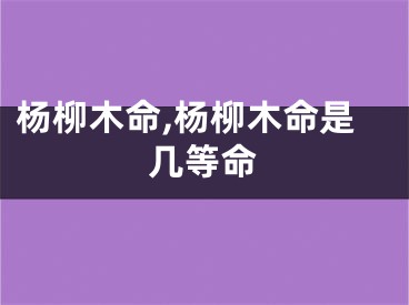 杨柳木命,杨柳木命是几等命