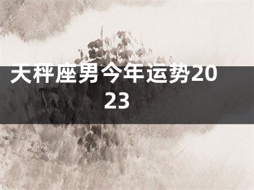 天秤座男今年运势2023