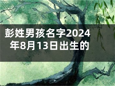 彭姓男孩名字2024年8月13日出生的
