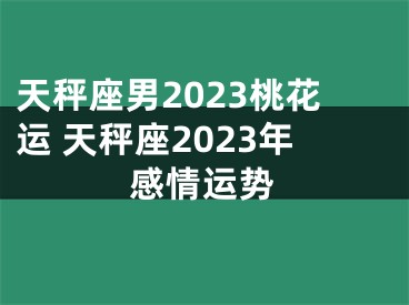 天秤座男2023桃花运 天秤座2023年感情运势