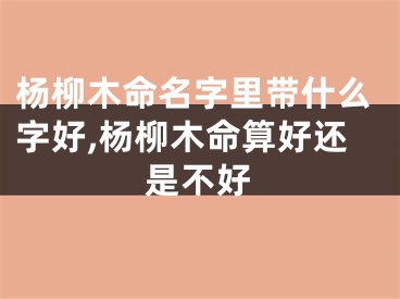 杨柳木命名字里带什么字好,杨柳木命算好还是不好