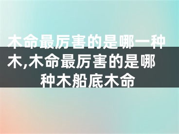 木命最厉害的是哪一种木,木命最厉害的是哪种木船底木命