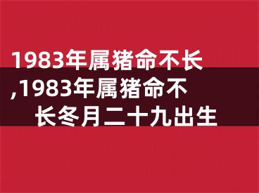 1983年属猪命不长,1983年属猪命不长冬月二十九出生