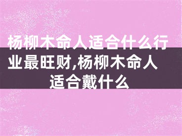 杨柳木命人适合什么行业最旺财,杨柳木命人适合戴什么