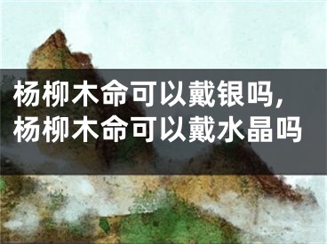 杨柳木命可以戴银吗,杨柳木命可以戴水晶吗