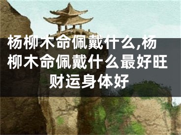 杨柳木命佩戴什么,杨柳木命佩戴什么最好旺财运身体好