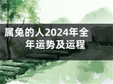 属兔的人2024年全年运势及运程