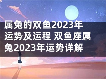 属兔的双鱼2023年运势及运程 双鱼座属兔2023年运势详解