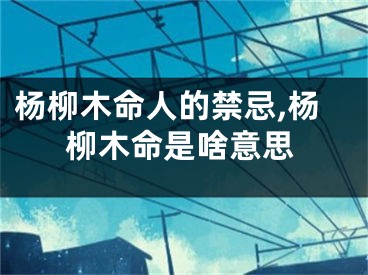 杨柳木命人的禁忌,杨柳木命是啥意思
