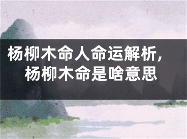杨柳木命人命运解析,杨柳木命是啥意思