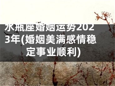 水瓶座婚姻运势2023年(婚姻美满感情稳定事业顺利)