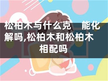 松柏木与什么克　能化解吗,松柏木和松柏木相配吗