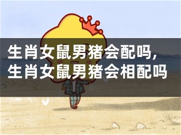 生肖女鼠男猪会配吗,生肖女鼠男猪会相配吗