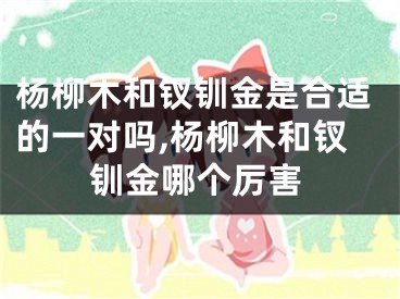 杨柳木和钗钏金是合适的一对吗,杨柳木和钗钏金哪个厉害