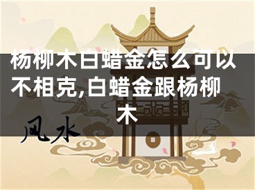 杨柳木白蜡金怎么可以不相克,白蜡金跟杨柳木