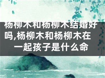 杨柳木和杨柳木结婚好吗,杨柳木和杨柳木在一起孩子是什么命