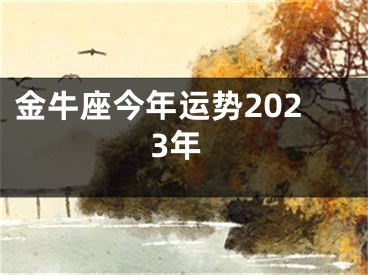 金牛座今年运势2023年