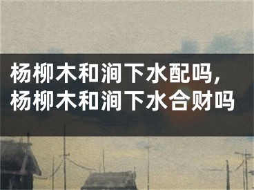 杨柳木和涧下水配吗,杨柳木和涧下水合财吗